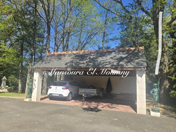 ✨ PROPRIÉTÉ D'EXCEPTION — DEMEURE DE PRESTIGE ✨ Chambray-lès-Tours (37)