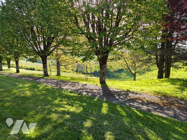 Belle propriété avec terrain, piscine et dépendances