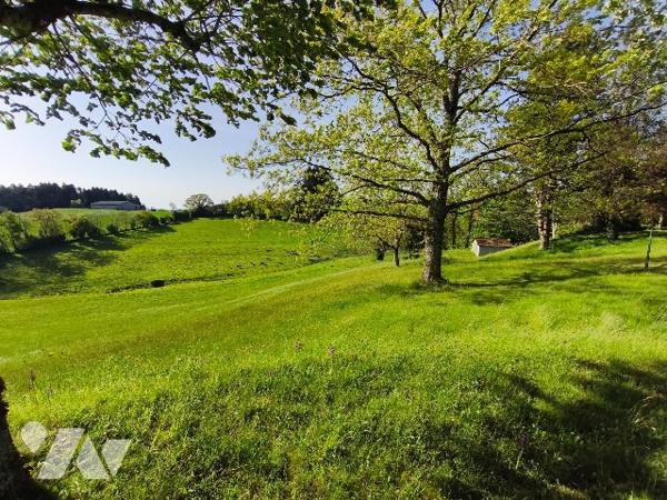 Belle propriété avec terrain, piscine et dépendances