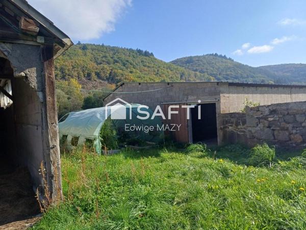 Maison parfaite  pour  amoureux de  la  nature  , tranquillité