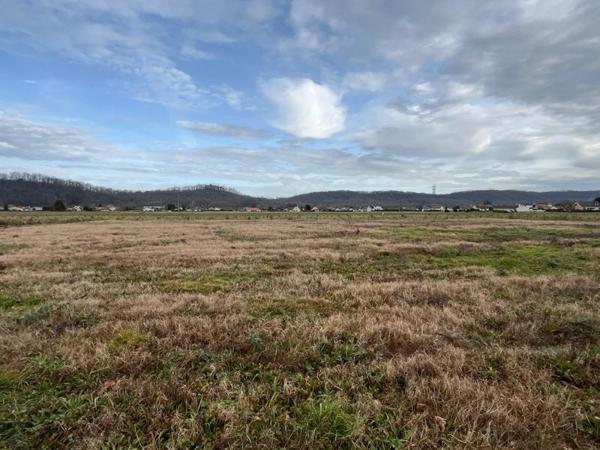 Terrain à vendre |  Bordes |  1037 m²