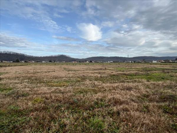 Terrain à vendre |  Bordes |  1037 m²