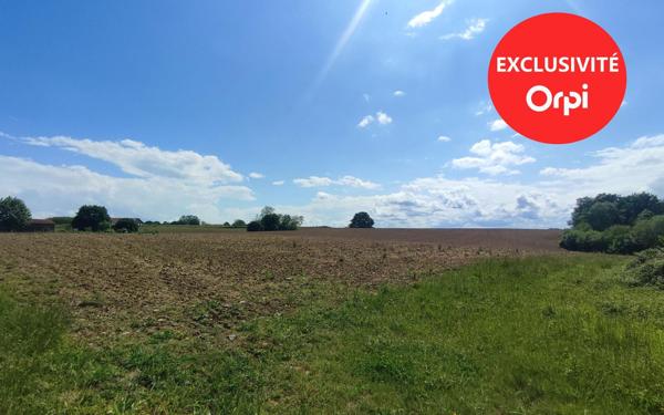 Terrain à vendre    Léren