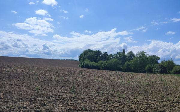 Terrain à vendre    Léren