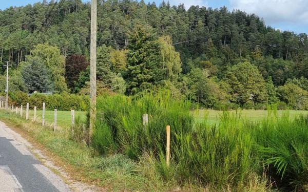 Terrain à vendre    Bruyères