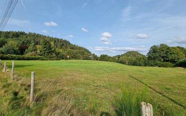 Terrain à vendre    Bruyères