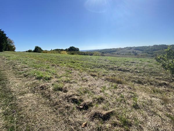 Moissac (82200) MOISSAC Ravissante maison de campagne avec maison d'amis, piscine et terrains de 6 plus hec