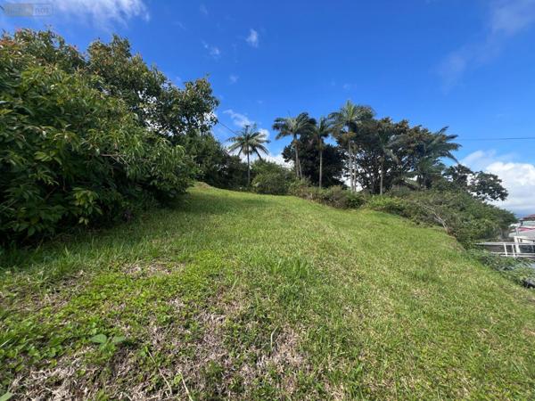 Terrain à Batir à vendre à Sainte-Marie à la Réunion (97438), ref : 97405/236 Espérance les hauts