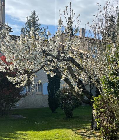 Cavaillon (84300) Propriété d'exception - 600 m² habitables - 6,4 hectares