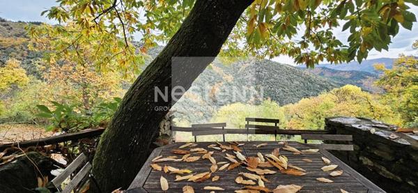 Mas En Pierre Meublé