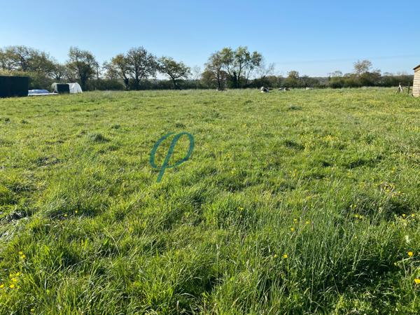 Terrain constructible 908 m²