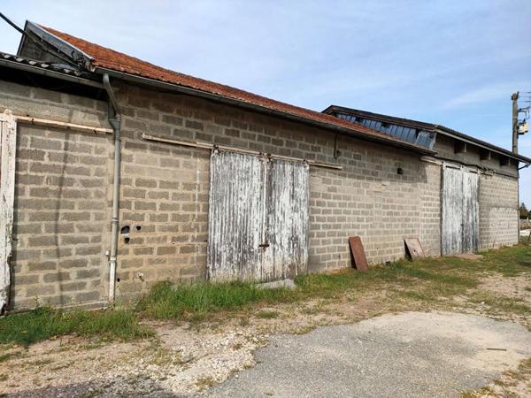 ENTREPOTS 1000 m² avec parking et terrain 3000 m²