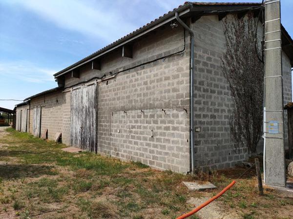 ENTREPOTS 1000 m² avec parking et terrain 3000 m²