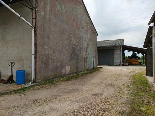 ENTREPOTS 1000 m² avec parking et terrain 3000 m²