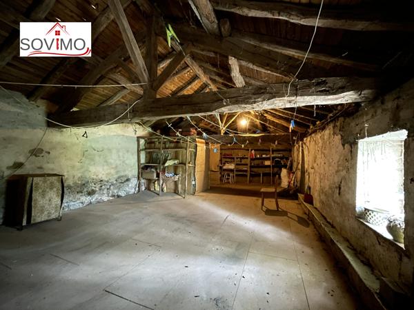 SANS VOISIN, ANCIENNE MAISON DE MEUNIER AU COEUR D ELA NATURE , AUTHENTIQUE LONGÈRE PROCHE RIVIÈRE