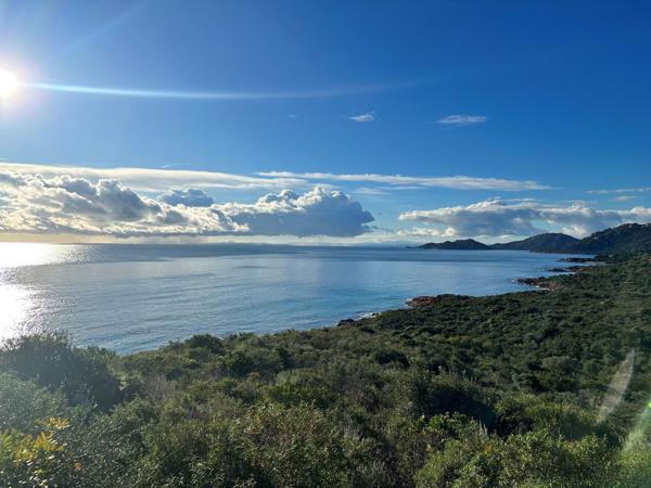 Maison à vendre  7 pièces - 385 m2 PORTO VECCHIO - 201