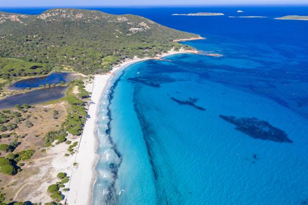 Maison à vendre  7 pièces - 385 m2 PORTO VECCHIO - 201