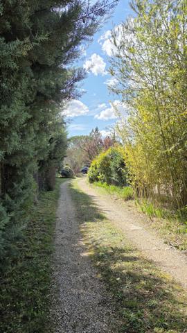 Rians (83560) Villa T5