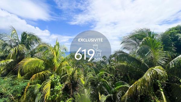 Rare avec très grande terrasse parking vue mer