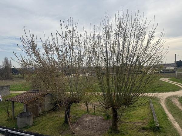 ENSEMBLE IMMOBILIER 3 LOGEMENTS ET DÉPENDANCES SUR 1290 M2 DE TERRAIN , Tauriac ENSEMBLE IMMOBILIER 3 LOGEMENTS ET DÉPENDANCES SUR 1290 M2 DE TERRAIN , Tauriac