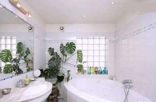 Maison lumineuse avec jardin et rooftop aux Lilas