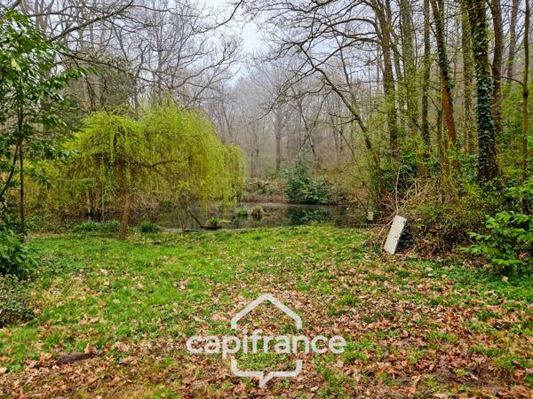 Là où l’eau, la pierre et la forêt se rejoignent, un domaine d’exception s’offre à vous : 9 hectares de nature préservée et de mémoire vivante, à transmettre et à faire revivre.