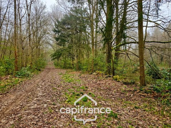 Là où l’eau, la pierre et la forêt se rejoignent, un domaine d’exception s’offre à vous : 9 hectares de nature préservée et de mémoire vivante, à transmettre et à faire revivre.