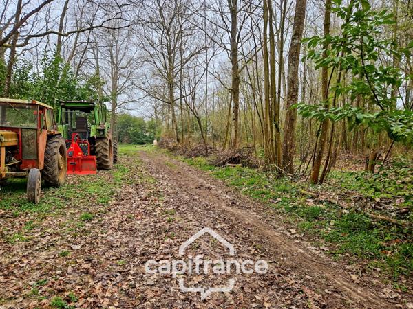 Là où l’eau, la pierre et la forêt se rejoignent, un domaine d’exception s’offre à vous : 9 hectares de nature préservée et de mémoire vivante, à transmettre et à faire revivre.