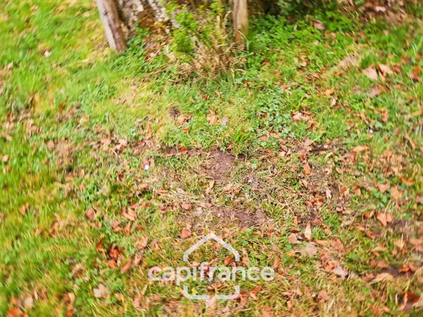 Là où l’eau, la pierre et la forêt se rejoignent, un domaine d’exception s’offre à vous : 9 hectares de nature préservée et de mémoire vivante, à transmettre et à faire revivre.