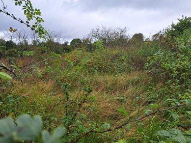 Terrain de loisirs - Bois - Etang à vendre à Villenauxe-la-Grande dans l'Aube (10370), ref : 034/1347