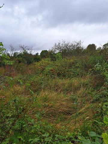 Terrain de loisirs - Bois - Etang à vendre à Villenauxe-la-Grande dans l'Aube (10370), ref : 034/1347
