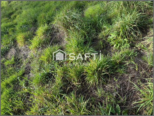 A saisir  très beau terrain constructible.