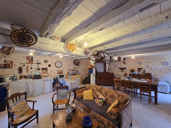 Belle maison de village en pierre avec propriété indépendante d'une chambre