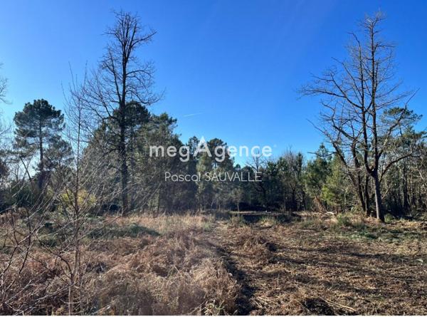 Terrain à CHANCELADE, 24650 - 1000m²