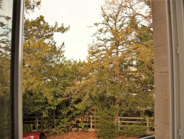 Location Studio 1 pièce Coye-la-Forêt (60580) - Proche Gare et forêt