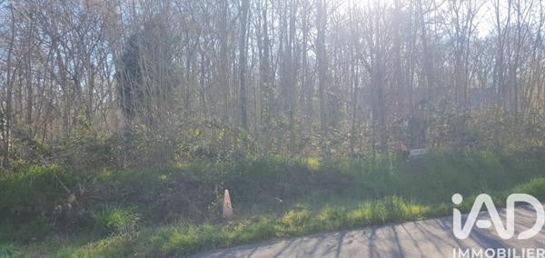 Terrain à vendre 2 154 m² Candé-sur-Beuvron