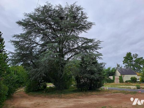 Vente de terrain CRAC'H