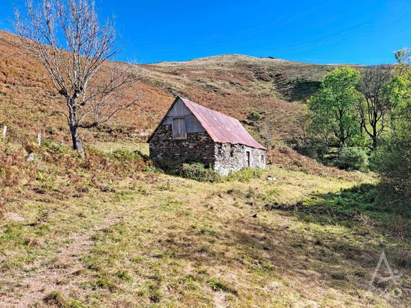 Achat vente Grange Saint Pastous