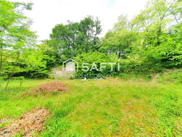 Terrain de 1000m² en plein centre de Nemours
