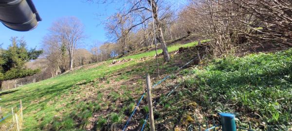 Eschbach-au-Val (68140) Prochainement à la vente : Maison 70 m² avec jardin au calme à rénover