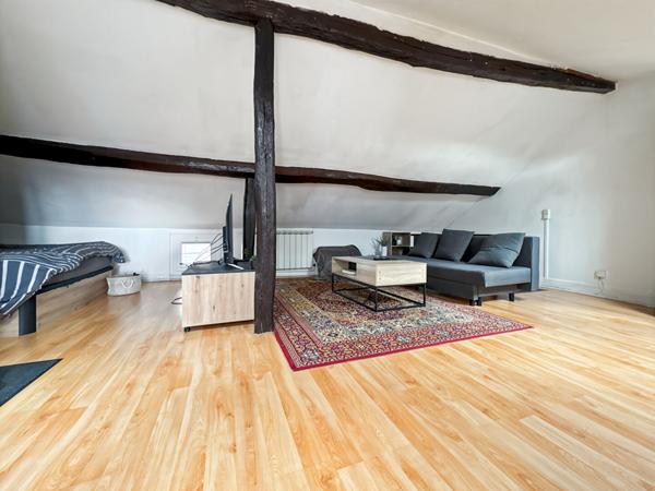 Charmant appartement duplex de 35,54 m² (50m² au sol)