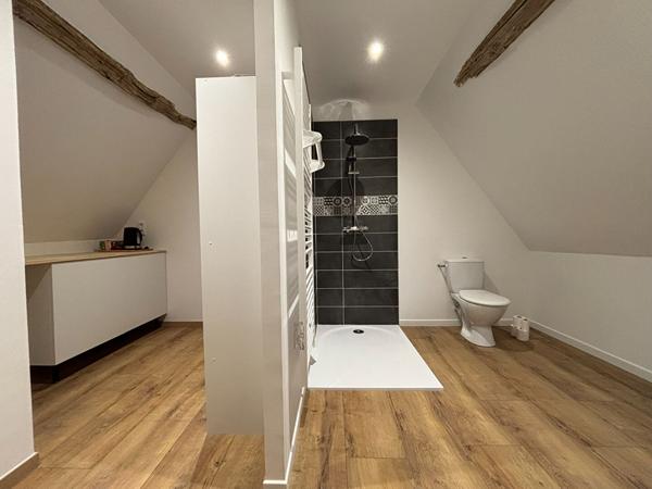 Maison restaurée. Confort, modernité et authenticité au coeur de Lasse Noyant-Villages