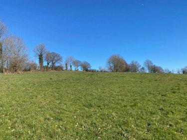 Terrain de loisirs - Bois - Etang à vendre à Tessy-Bocage dans la Manche (50420), ref : 50038-2579