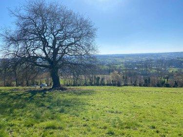 Terrain de loisirs - Bois - Etang à vendre à Tessy-Bocage dans la Manche (50420), ref : 50038-2579