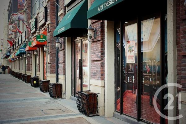 à vendre  50 m2 AIX LES BAINS - 73