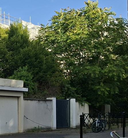 Une pépite