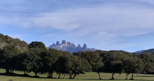 SAN GAVINO DI CARBINI - TERRAIN 490 M² - AU COEUR DU VILLAGE