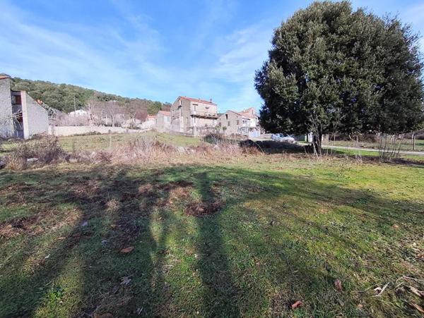 SAN GAVINO DI CARBINI - TERRAIN 490 M² - AU COEUR DU VILLAGE