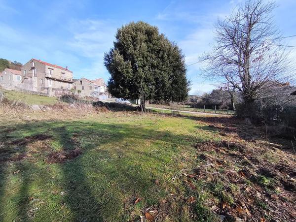 SAN GAVINO DI CARBINI - TERRAIN 490 M² - AU COEUR DU VILLAGE