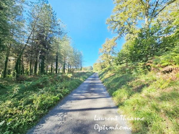 Terrain constructible de 10139 m²